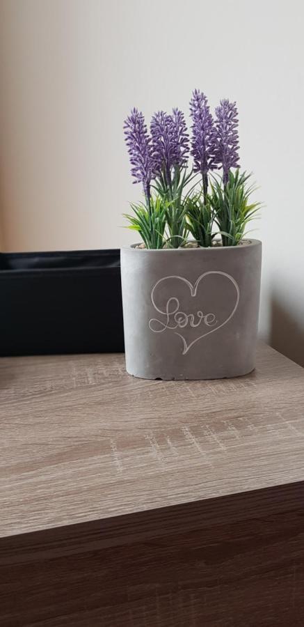 Boglarka Apartman Hajdúszoboszló Zewnętrze zdjęcie
